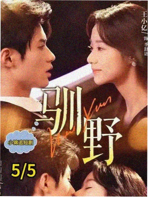 少年侦探社海报